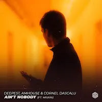Deepest — Ain't Nobody (Feat. Mivari) Ft Amhouse & Cornel Dascalu — обложка