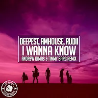 Deepest — I Wanna Know (Andrew Dimas, Timmy Barg Remix) Ft Amhouse & Rudii — обложка